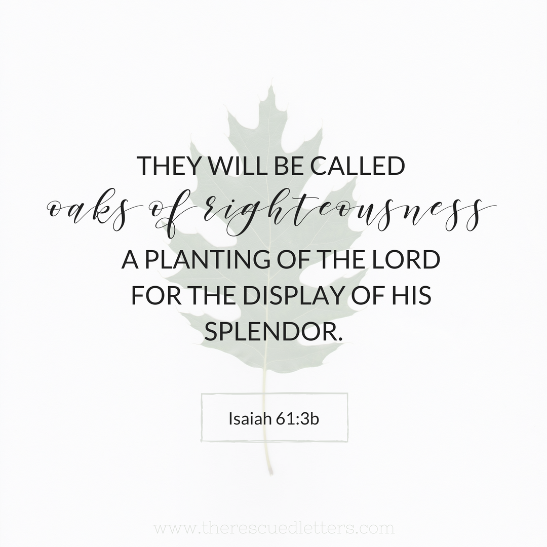 Isaiah 61:3b | www.therescuedletters.com