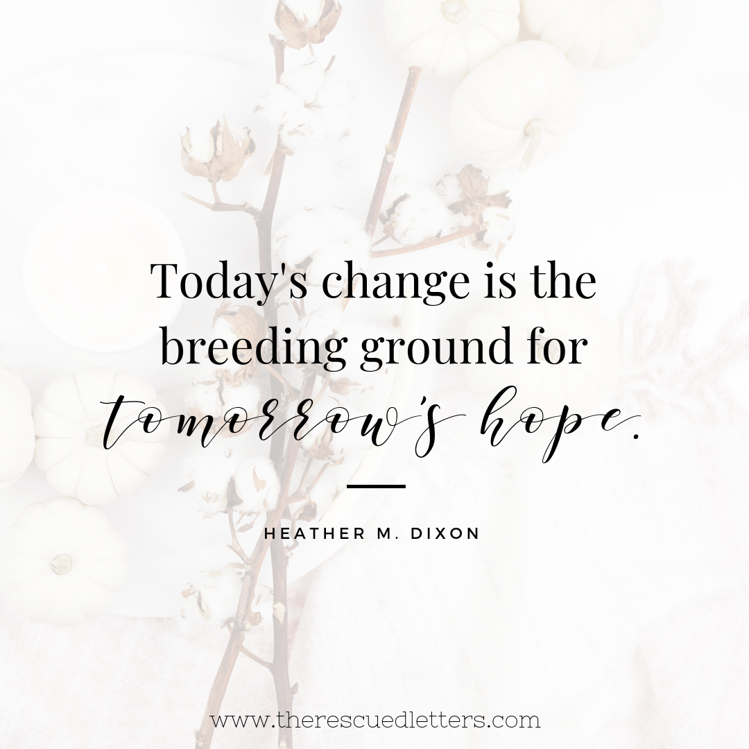 Today's change is the breeding ground for tomorrow's hope. | www.therescuedletters.com