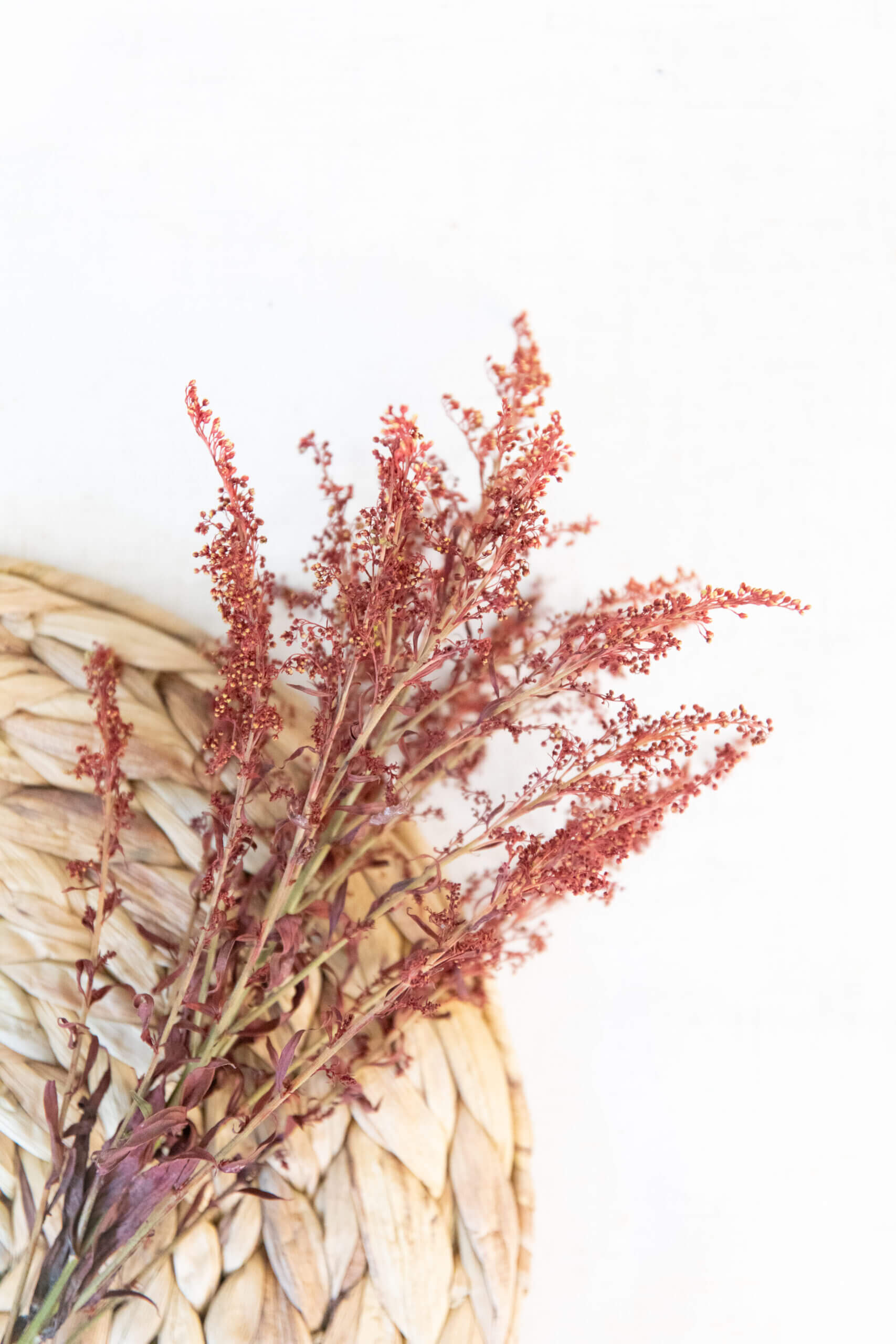 branch of dried burgundy flowers laying on a straw mat